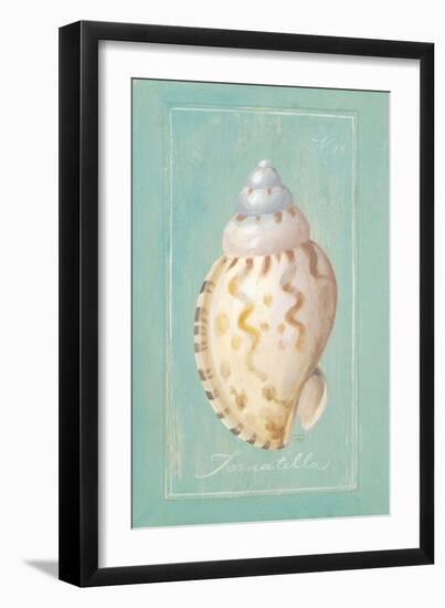 Noble Shell-Hardenbrook Studio-Framed Art Print