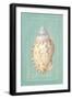 Noble Shell-Hardenbrook Studio-Framed Art Print