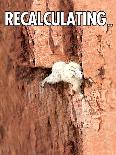 Recalculating-Noble Works-Art Print