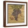 Brown Frame