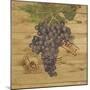 Wood Mount