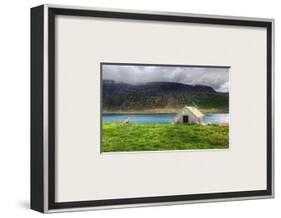 Nobody Needs Dramatic Sheep-Trey Ratcliff-Framed Photographic Print