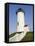 Nobska Point Lighthouse on Cape Cod-Walter Bibikow-Framed Stretched Canvas