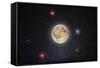 Nocturna Lux-Steve Gadomski-Framed Stretched Canvas