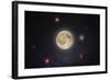 Nocturna Lux-Steve Gadomski-Framed Photographic Print