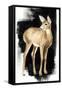 Nocturnal II-Grace Popp-Framed Stretched Canvas