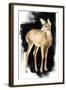 Nocturnal II-Grace Popp-Framed Art Print