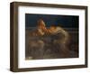 Nocturne, 1908-Gaetano Previati-Framed Giclee Print