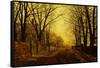 Nocturne in Gold, c.1872-John Atkinson Grimshaw-Framed Stretched Canvas