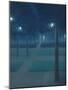 Nocturne in the Parc Royal, Brussels-William Degouve De Nuncques-Mounted Giclee Print