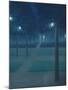Nocturne in the Parc Royal, Brussels-William Degouve De Nuncques-Mounted Giclee Print