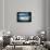 Nocturne-Ursula Abresch-Framed Stretched Canvas displayed on a wall
