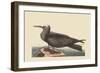 Noddy-Mark Catesby-Framed Art Print