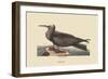 Noddy-Mark Catesby-Framed Art Print