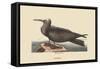 Noddy-Mark Catesby-Framed Stretched Canvas