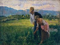 Blowfly (Peasant Girl in the Fields with Young Suitor)-Noe Bordignon-Stretched Canvas