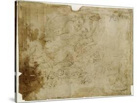 Noé lisant, près de l'arche, tenant une tablette et une corne d'abondance, assis sur des nuées-Raffaello Sanzio-Stretched Canvas