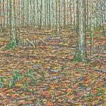 Remembered Pond, Forgotten Logs-Noel Paine-Giclee Print