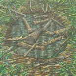 Remembered Pond, Forgotten Logs-Noel Paine-Giclee Print