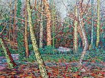 Bow Tree Autumn-Noel Paine-Giclee Print