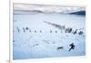 Noelle Zmuda And Her Dog Tink Go For A Cold Winter Run On Pond Oreille Bay Trail, Sandpoint, Idaho-Ben Herndon-Framed Photographic Print