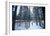 Noelle Zmuda, Winter Run At Balto Dog Park Along The Pend Oreille River Near Sandpoint, Idaho-Ben Herndon-Framed Photographic Print