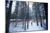 Noelle Zmuda, Winter Run At Balto Dog Park Along The Pend Oreille River Near Sandpoint, Idaho-Ben Herndon-Mounted Photographic Print