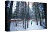 Noelle Zmuda, Winter Run At Balto Dog Park Along The Pend Oreille River Near Sandpoint, Idaho-Ben Herndon-Stretched Canvas