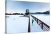 Noelle Zmuda, Winter Run At Balto Dog Park Along The Pend Oreille River Near Sandpoint, Idaho-Ben Herndon-Stretched Canvas