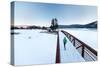 Noelle Zmuda, Winter Run At Balto Dog Park Along The Pend Oreille River Near Sandpoint, Idaho-Ben Herndon-Stretched Canvas