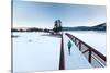 Noelle Zmuda, Winter Run At Balto Dog Park Along The Pend Oreille River Near Sandpoint, Idaho-Ben Herndon-Stretched Canvas