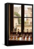 Nogaro, Gers Department, Midi-Pyrenees, France. Bottles of armagnac ready for tasting at the cel...-null-Framed Stretched Canvas