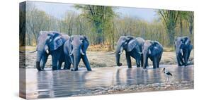 Nogatsaa Waterhole-Kim Thompson-Stretched Canvas