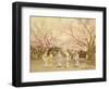 Noge Hill in Yokohama (Japan)-Felice Beato-Framed Photographic Print