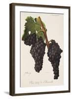 Noir Hatif De Marseille Grape-J. Troncy-Framed Giclee Print