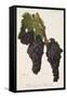 Noir Hatif De Marseille Grape-J. Troncy-Framed Stretched Canvas
