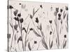 Noir Meadow-Beverly Dyer-Stretched Canvas