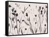 Noir Meadow-Beverly Dyer-Framed Stretched Canvas