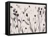 Noir Meadow-Beverly Dyer-Framed Stretched Canvas