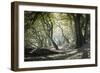 Noirmoutier Island-Philippe Manguin-Framed Photographic Print