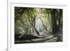 Noirmoutier Island-Philippe Manguin-Framed Photographic Print