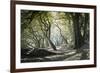 Noirmoutier Island-Philippe Manguin-Framed Photographic Print