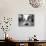 Nola Singer-John Gusky-Framed Photographic Print displayed on a wall