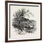 Noli, from the Coast, the Cornice Road, Liguria, Italy , 19th Century-null-Framed Giclee Print