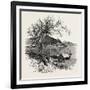 Noli, from the Coast, the Cornice Road, Liguria, Italy , 19th Century-null-Framed Giclee Print