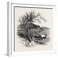 Noli, from the Coast, the Cornice Road, Liguria, Italy , 19th Century-null-Framed Giclee Print