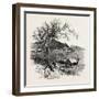 Noli, from the Coast, the Cornice Road, Liguria, Italy , 19th Century-null-Framed Giclee Print