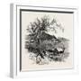 Noli, from the Coast, the Cornice Road, Liguria, Italy , 19th Century-null-Framed Giclee Print