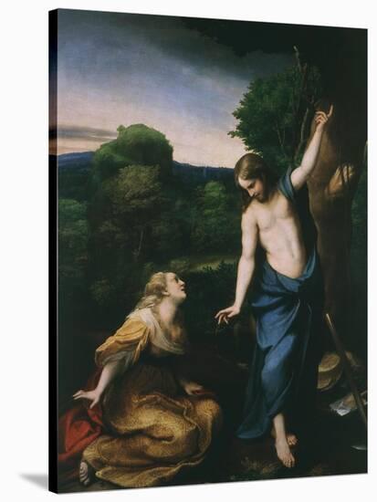 Noli Me Tangere, Touch Me Not, Risen Christ Appears to Mary Magdalene, 1525-Antonio Allegri Da Correggio-Stretched Canvas