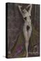 Nolly Dorey, Dancer at the Folies Bergere-null-Stretched Canvas